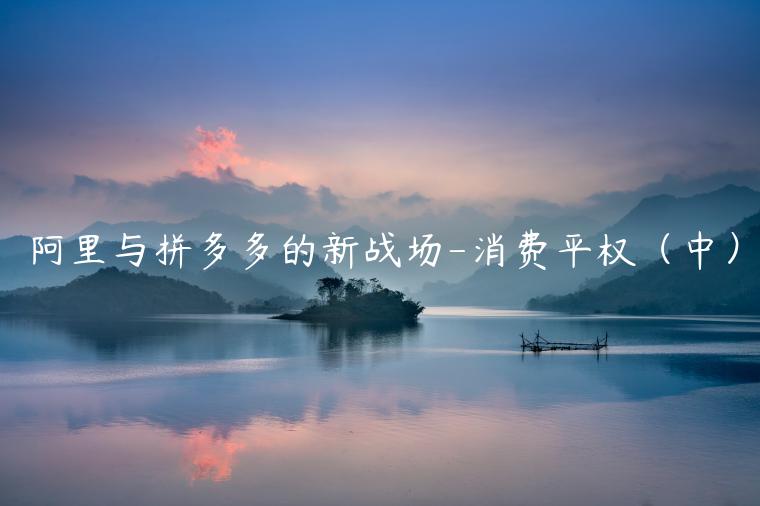 阿里與拼多多的新戰(zhàn)場(chǎng)-消費(fèi)平權(quán)（中）